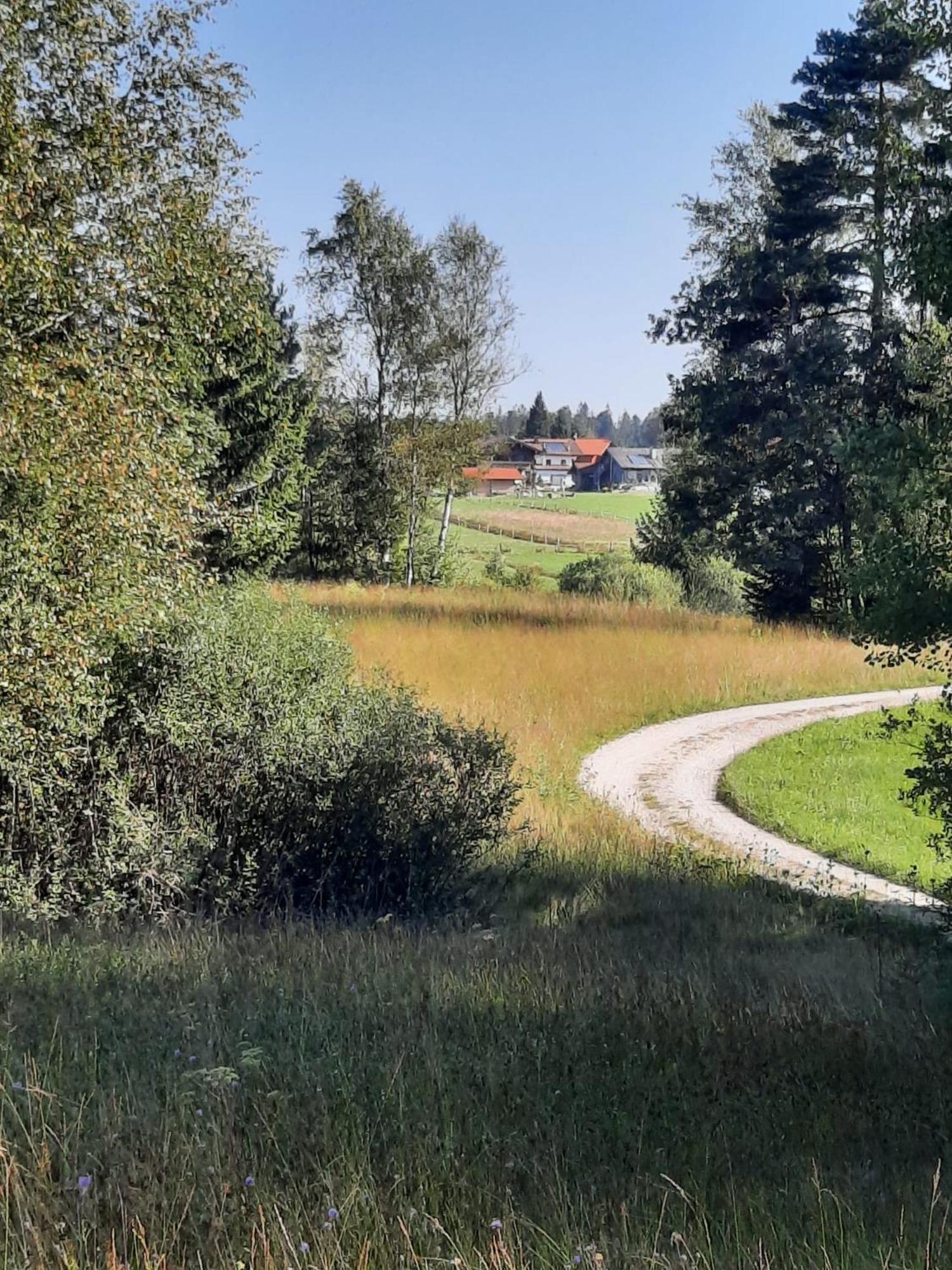 Ferienwohnung Am Wirtshof Siegsdorf Exterior photo